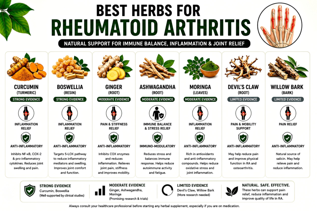 7 Best Herbs for Rheumatoid Arthritis (2026 Evidence-Based Natural Relief Guide) Image 13 1024x682